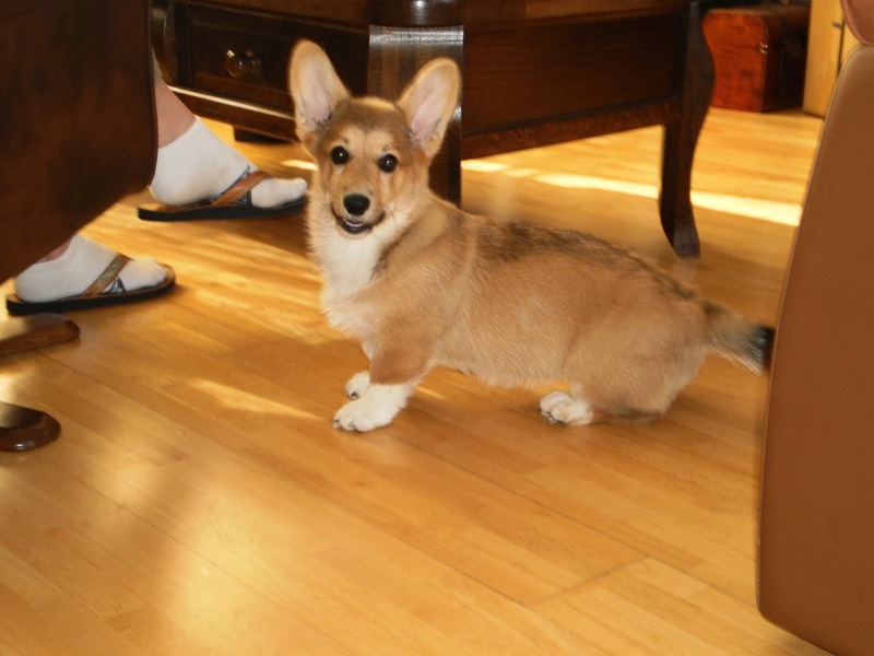 Queeny